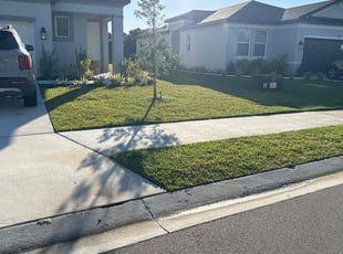 Octavius R.'s Lawn Mowing service result