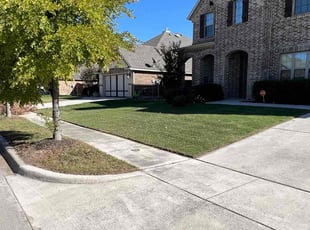 Louene A.'s Lawn Service service result
