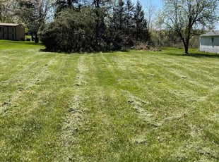 Lori s.'s Lawn Mowing service result