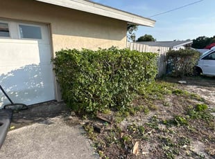 Bush Trimming by Larz Pugh-hall for Emily J. in Sarasota, FL