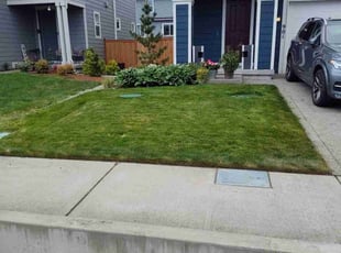 Tyreise D.'s Lawn Service service result