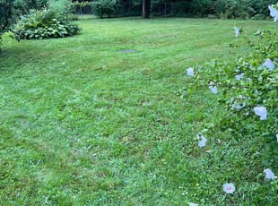 Nicole J.'s Lawn Service service result