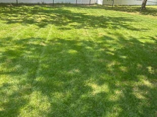 Cheryl M.'s Lawn Maintenance service result
