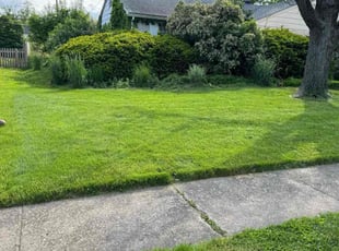 Jordan P.'s Lawn Maintenance service result