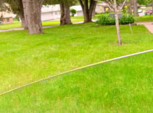 Jim S.'s Lawn Mowing Service service result
