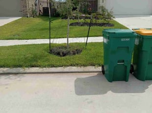 Christine W.'s Lawn Maintenance service result