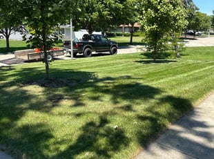 Karen H.'s Lawn Service service result