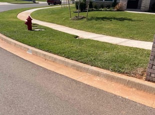 Sonya G.'s Lawn Care service result