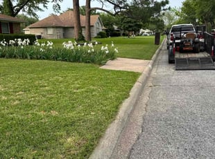Daryna V.'s Lawn Service service result
