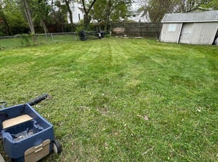 Ron Z.'s Lawn Maintenance service result