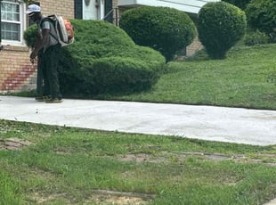 Bush Trimming by Norman Blanchard for Joyce P. in Temple Hills, MD