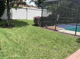 Toribio T.'s Lawn Care service result