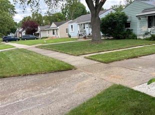 Liz B.'s Lawn Mowing service result