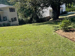Ken K.'s Lawn Maintenance service result