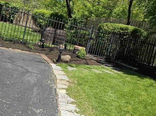 Debra C.'s Lawn Mowing Service service result