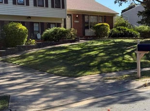 Arthur S.'s Grass Cutting service result