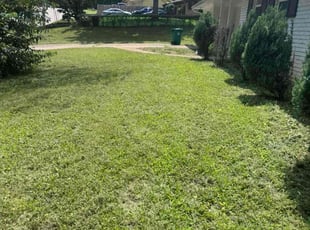 Bush Trimming by Xavier Perry for Claude W. in Decatur, GA