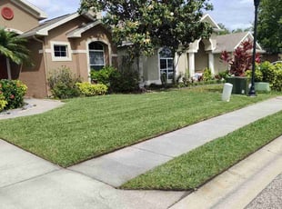 Judy F.'s Lawn Care service result