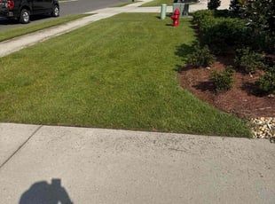 Geri Perkins W.'s Grass Cutting service result