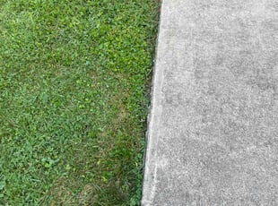 Monica I.'s Lawn Care service result