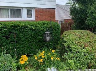 Bush Trimming by Kalvin Byrd for Brenda P. in Pittsburgh, PA
