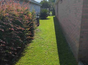 Errol D.'s Lawn Mowing service result
