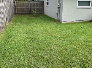Deirdre A.'s Lawn Care service result