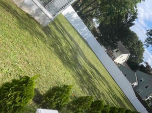 Kimberley P.'s Lawn Mowing service result