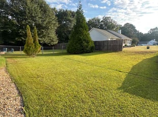 Carolynn P.'s Yard Cutting service result
