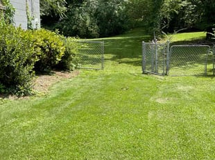 Latoya L.'s Lawn Service service result