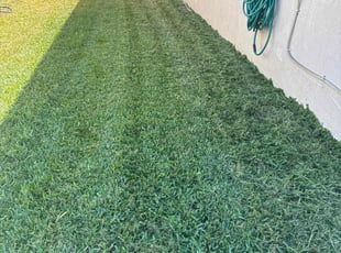 Ricki H.'s Yard Cutting service result