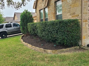 Bush Trimming by Cody Carter for Jon C. in Round Rock, TX
