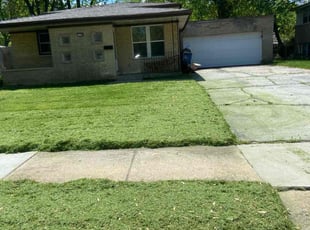 David P.'s Grass Cutting service result