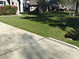 Keisha M.'s Lawn Mowing Service service result
