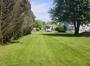 Shana H.'s Yard Cutting service result