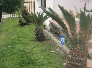 Ebony S.'s Lawn Maintenance service result