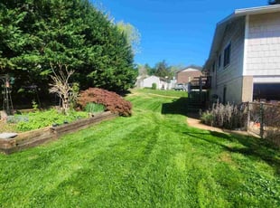 Deborah R.'s Lawn Service service result