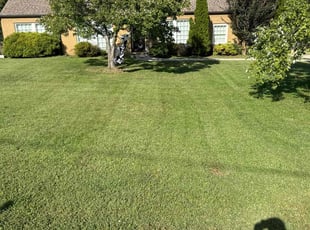 Travis T.'s Lawn Mowing Service service result