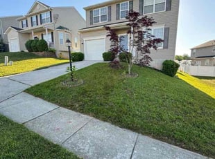 Sharon N.'s Lawn Care service result