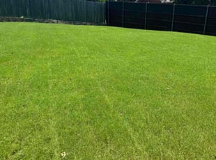 Marc M.'s Lawn Mowing Service service result