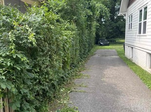 Bush Trimming by Landon Millett for Mason M. in Nashville, TN