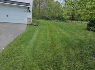 Steven S.'s Lawn Care service result