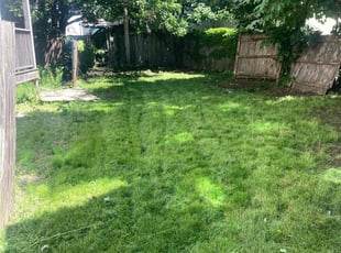 joyce C.'s Lawn Care service result