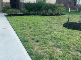 Weeding by Steven Jones for Jonathan P. in Richmond, TX