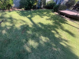 Bonnie P.'s Lawn Care service result