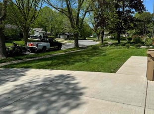 Leo U.'s Grass Cutting service result