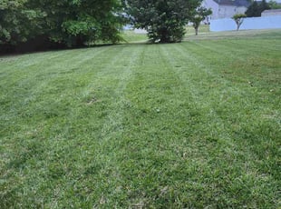 Carla J.'s Lawn Care service result