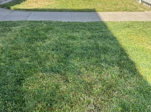 Eric R.'s Lawn Care service result