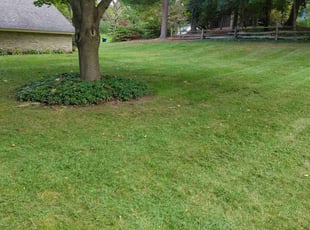 Tim V.'s Lawn Care service result