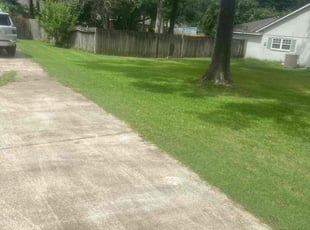 Bill H.'s Grass Cutting service result